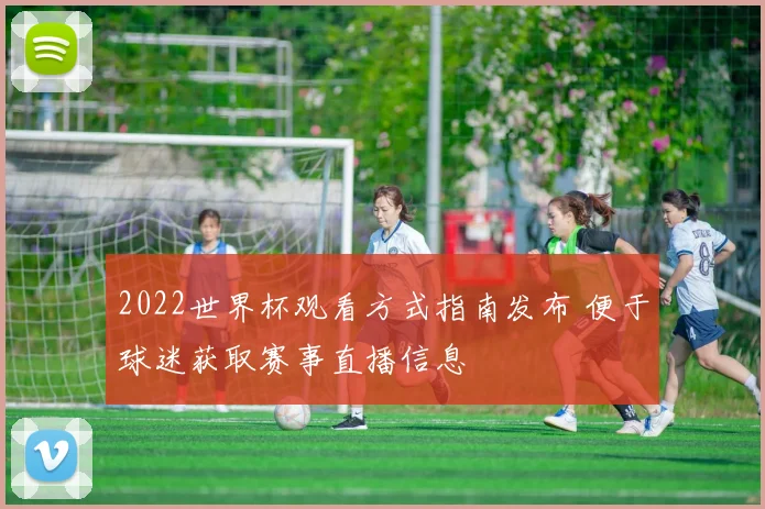 2022世界杯观看方式指南发布 便于球迷获取赛事直播信息