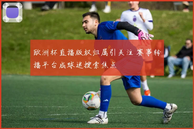 欧洲杯直播版权归属引关注 赛事转播平台成球迷搜索焦点