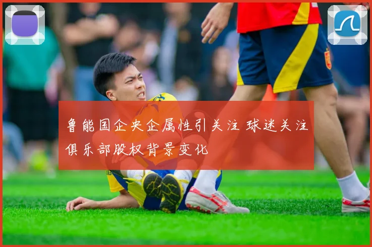 鲁能国企央企属性引关注 球迷关注俱乐部股权背景变化