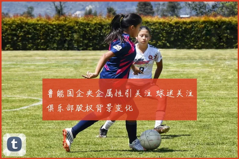 鲁能国企央企属性引关注 球迷关注俱乐部股权背景变化