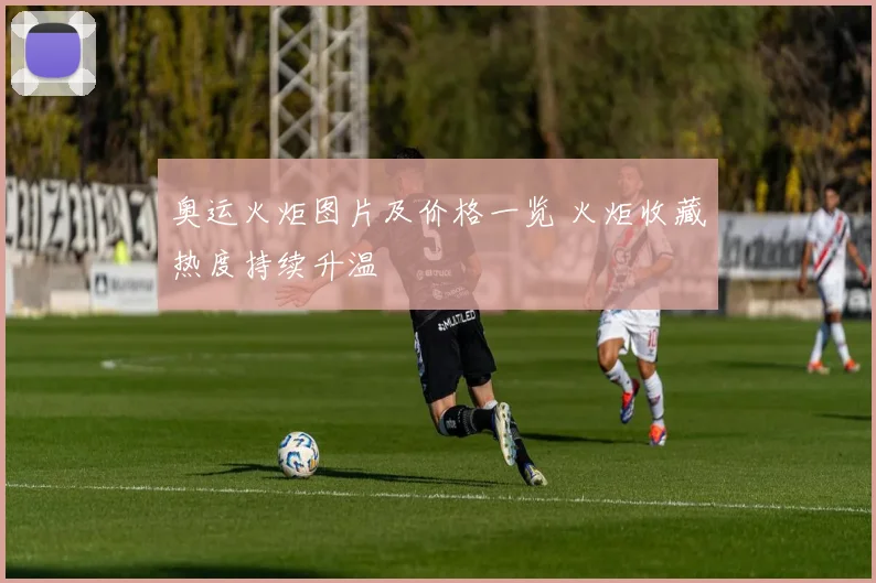 奥运火炬图片及价格一览 火炬收藏热度持续升温