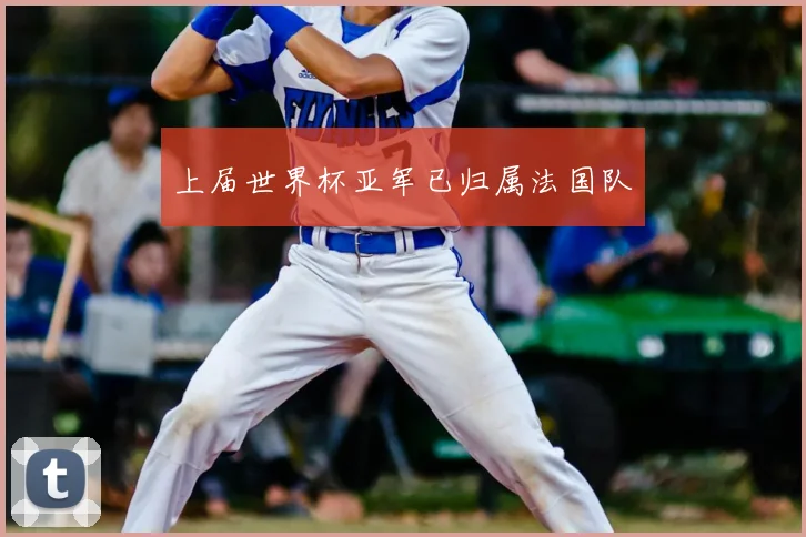 上届世界杯亚军已归属法国队