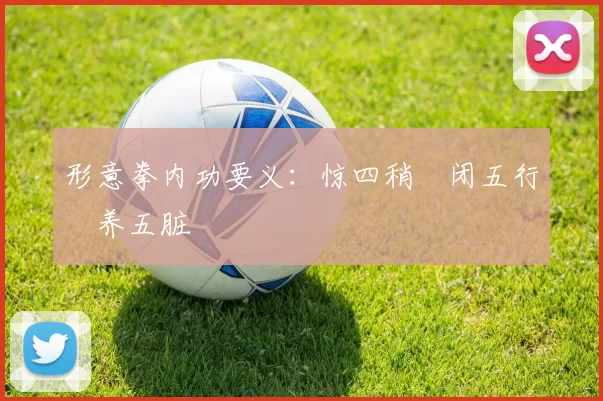 形意拳内功要义：惊四稍・闭五行・养五脏